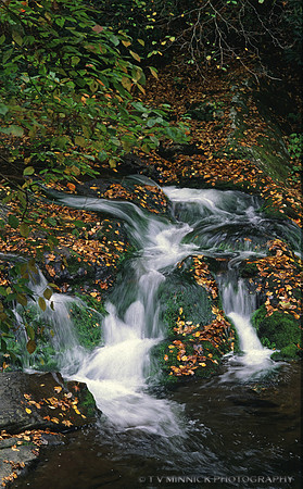 Waterfall in the Smokies