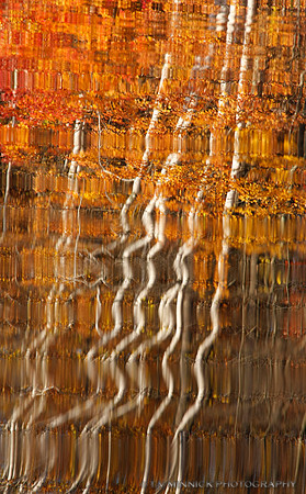 Autumn Reflection 101