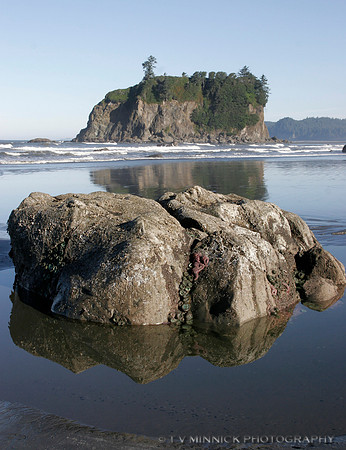 Olympic Coast Low Tide