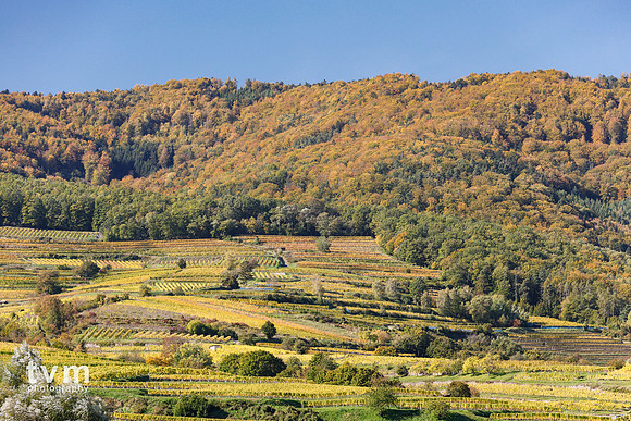 Wachau Valley