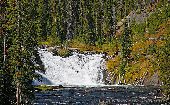 Yellowstone