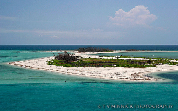 Bush Key, Dry Tortugas