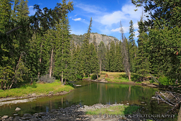 Slough Creek