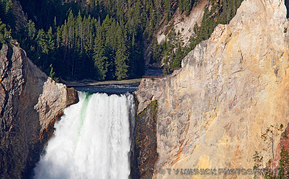 Brink of the Lower Falls
