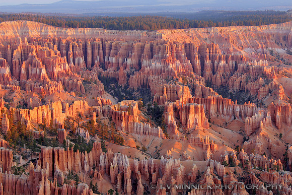 Dawn at Bryce Amphitheater