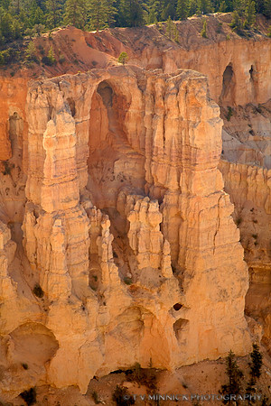 Wall of Windows