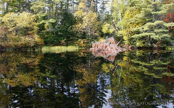 Pool at Shay's Dam
