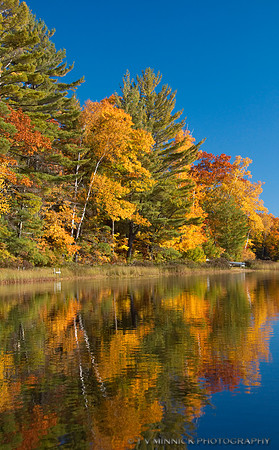 Reflections of the Lake