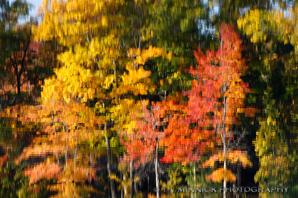 Autumn Reflection 108