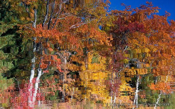 Autumn Reflection 109