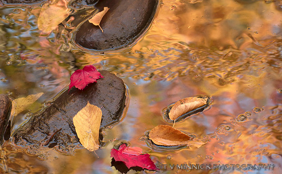 Fall Reflections in Miner's Creek