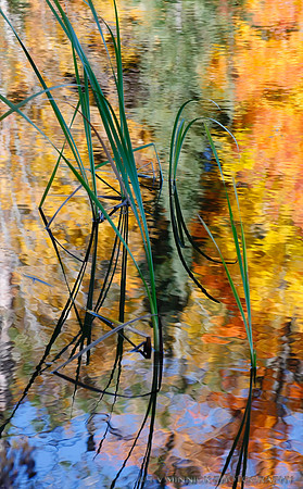 Autumn Reflections