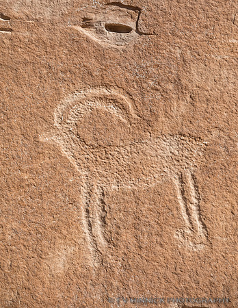 Ancient Petroglyph