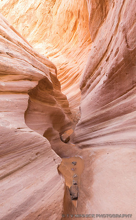 Little Wild Horse Slot