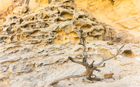Crack Canyon Scene