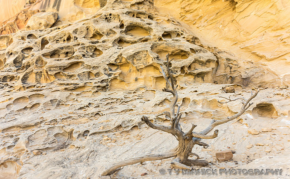 Crack Canyon Scene