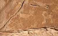 Petroglyph Panel
