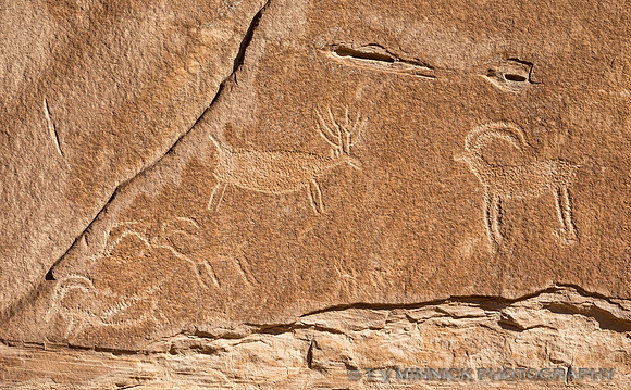 Petroglyph Panel