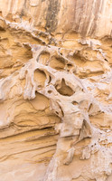 Sculpture from Nature