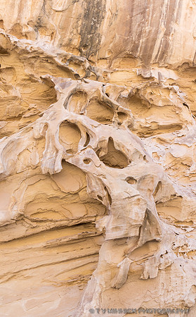 Sculpture from Nature