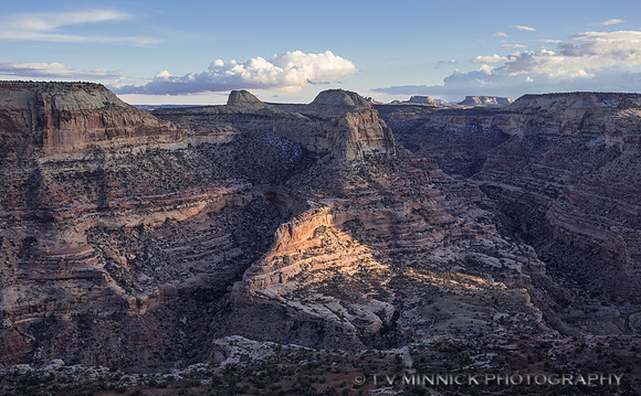Last Light on the Canyon