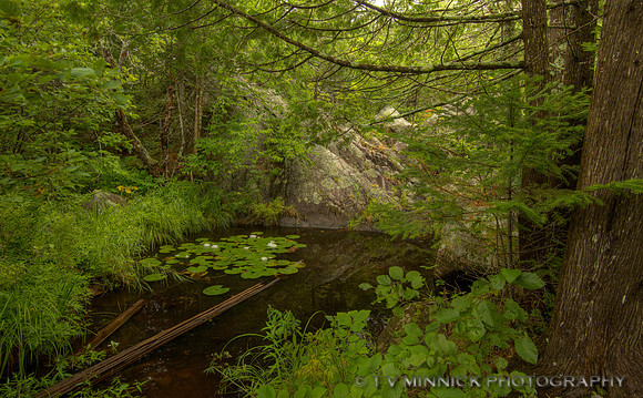 Hidden Pool