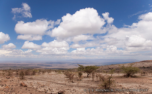Serengeti Vista