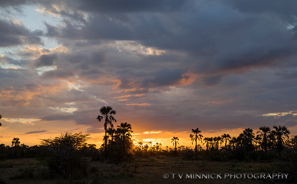 African Sunset