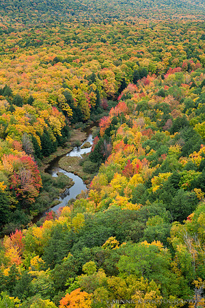Carp River in Autumn