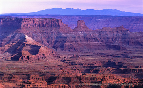 Canyonlands from Deadhorse Point