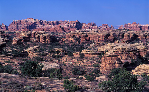 Needles Section Vista