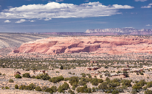 Vermillion Cliffs Vista