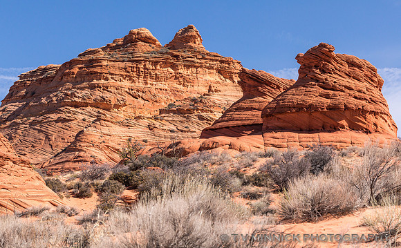 Coyote Buttes #4