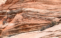 Petrified Sand Dunes