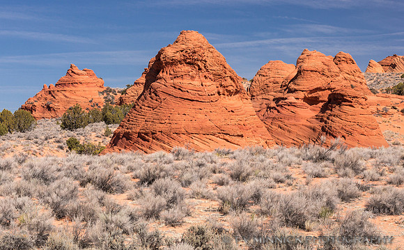 Coyote Buttes #1