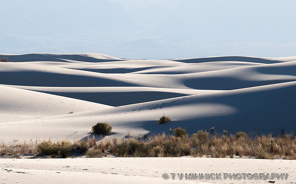 Light and Shadow on the Dunes