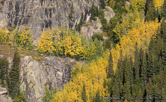Mountainside in Autumn