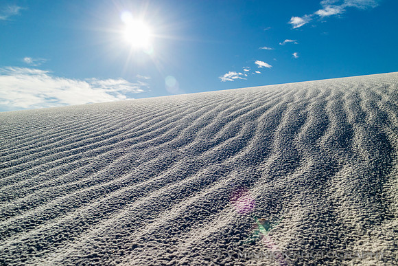 Dune Ripples