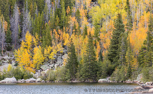 Fall Color at Bear Lake