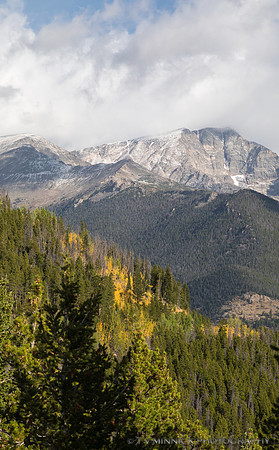 Mountain Vista