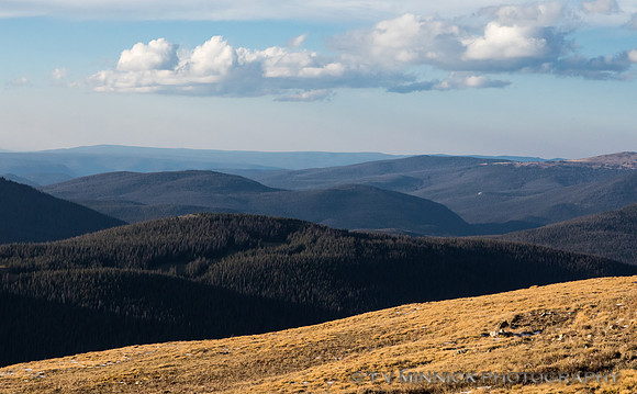 View from Medicine Bow Curve