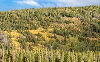 Mountainside in Fall