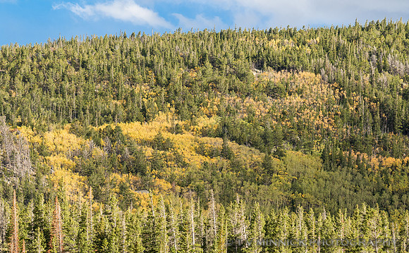 Mountainside in Fall