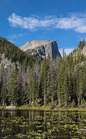 Nymph Lake View