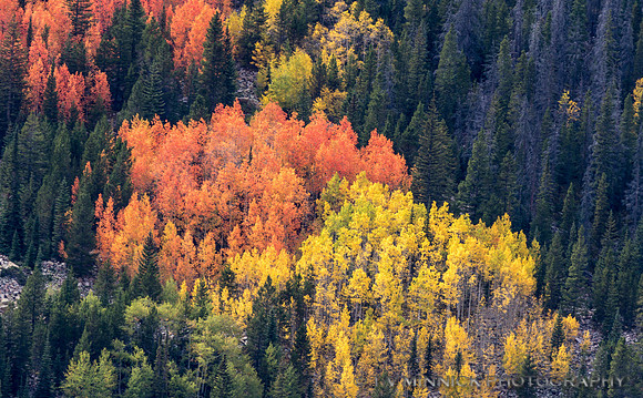 Mountain Color