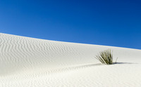 Blue Sky White Sand