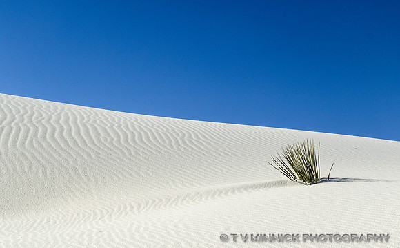 Blue Sky White Sand