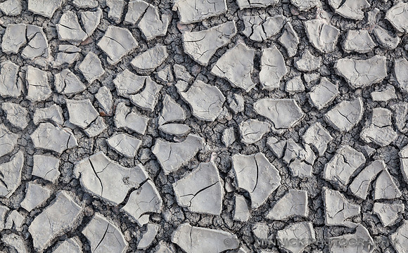 River Mud