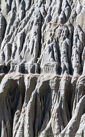 Patterns of Erosion