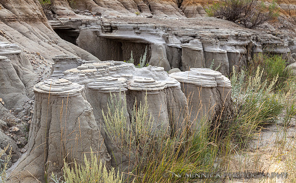 Caprock Coulee